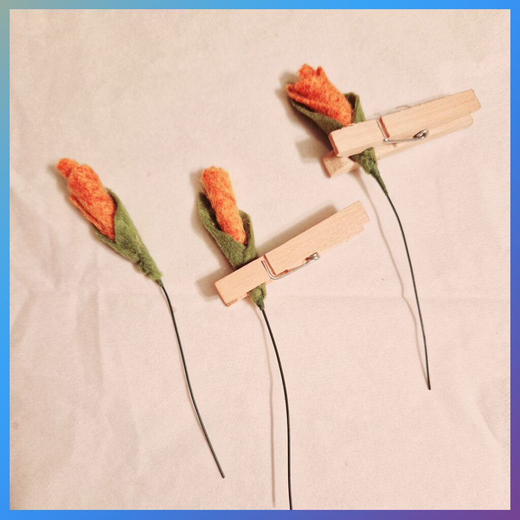 Verse vilten bloemknoppen drogen met een wasknijper erop.